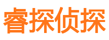 杜集侦探公司